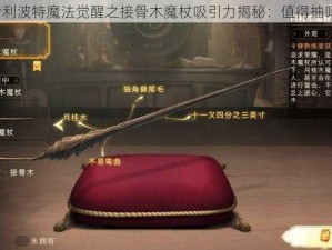 哈利波特魔法觉醒之接骨木魔杖吸引力揭秘：值得抽吗？