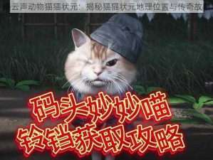 燕云声动物猫猫状元：揭秘猫猫状元地理位置与传奇故事