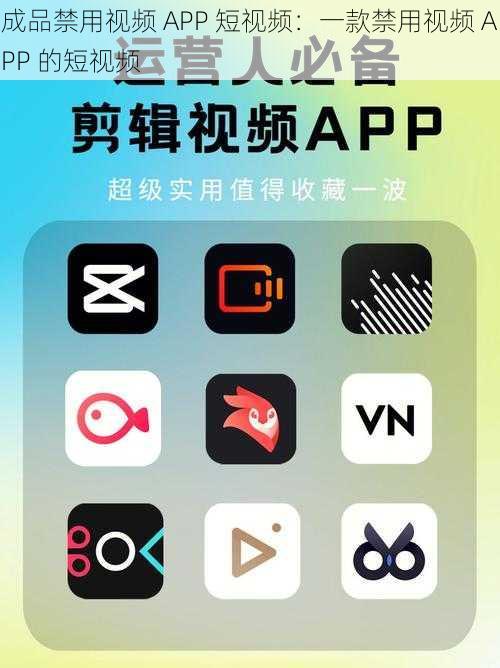 成品禁用视频 APP 短视频：一款禁用视频 APP 的短视频