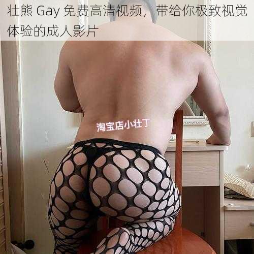 壮熊 Gay 免费高清视频，带给你极致视觉体验的成人影片