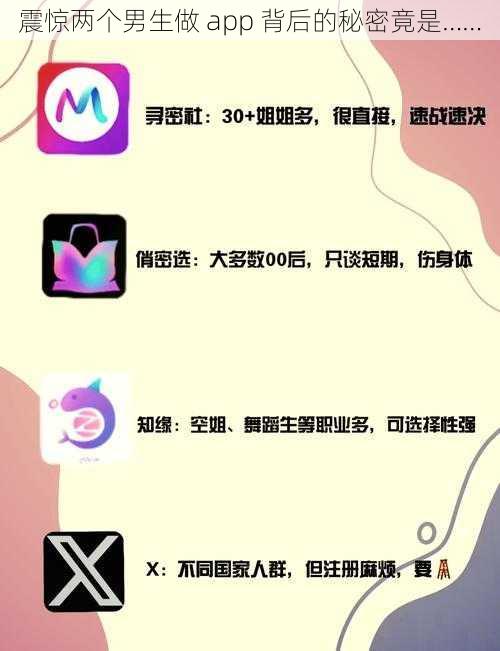 震惊两个男生做 app 背后的秘密竟是……