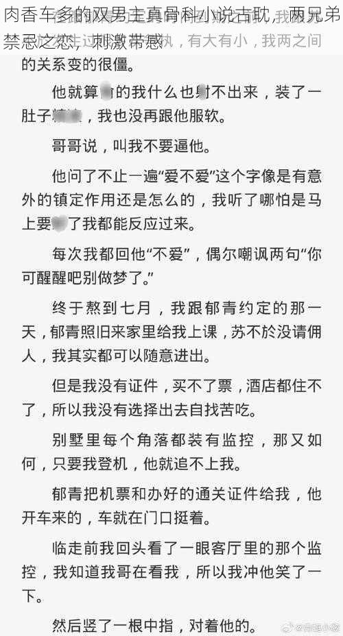 肉香车多的双男主真骨科小说古耽，两兄弟禁忌之恋，刺激带感