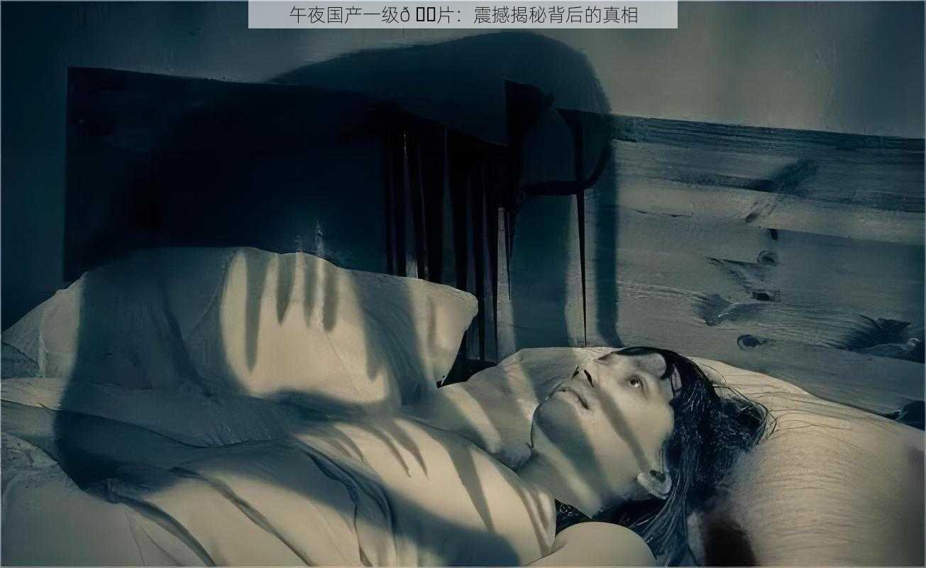 午夜国产一级𠂉片：震撼揭秘背后的真相