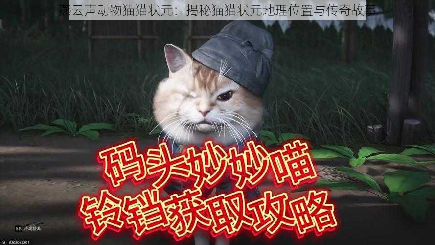 燕云声动物猫猫状元：揭秘猫猫状元地理位置与传奇故事