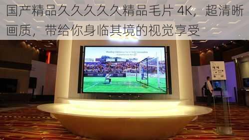 国产精品久久久久久精品毛片 4K，超清晰画质，带给你身临其境的视觉享受