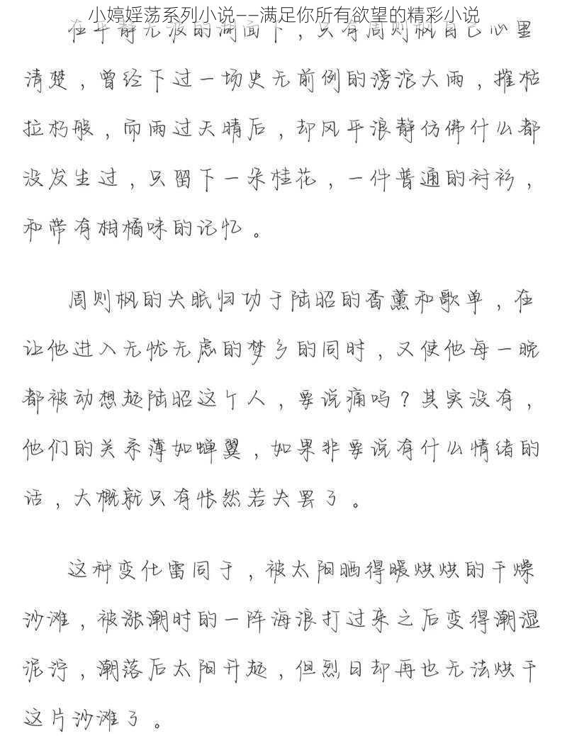 小婷婬荡系列小说——满足你所有欲望的精彩小说