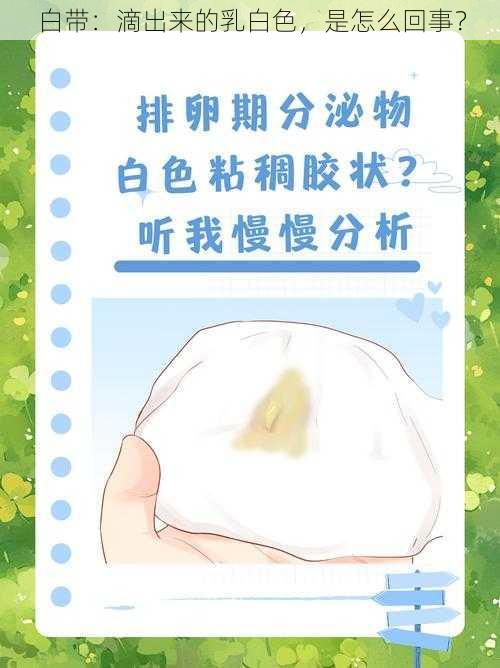 白带：滴出来的乳白色，是怎么回事？